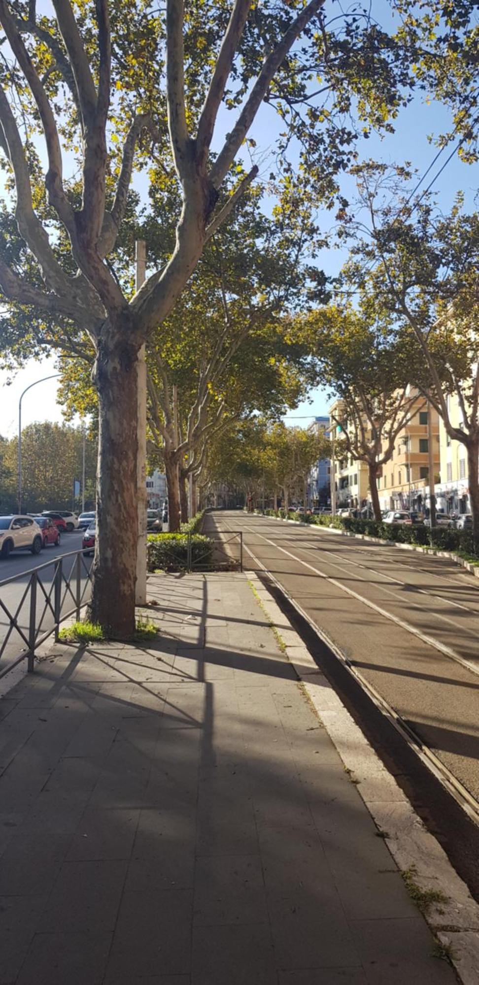 Trastevere Residenze روما المظهر الخارجي الصورة